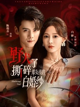 野犬撕碎了那女孩的白婚纱(全集)