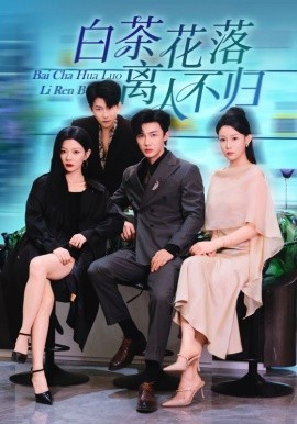 白茶花落离人(全集)