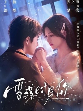 雪落时见你(全集)