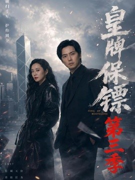 皇牌保镖第三季(全集)