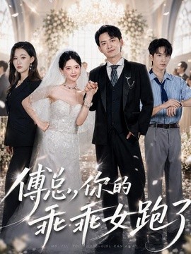 傅总，你的乖乖女跑了(全集)