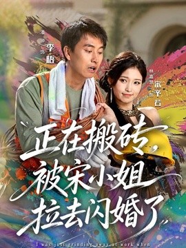 正在搬砖，被宋小姐拉去闪婚了(全集)