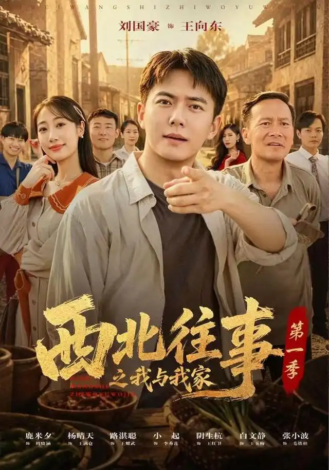 西北往事之我与我家第一季(全集)