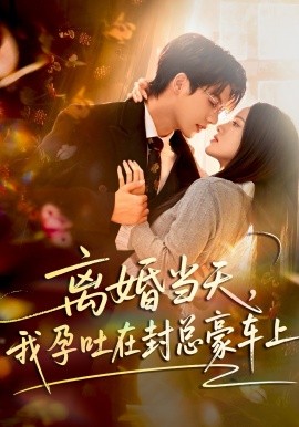 离婚当天，我孕吐在封总豪车上(全集)